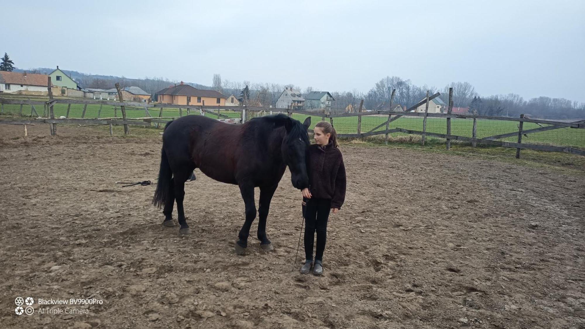 Centr00M Apartman Dunafoldvar Buitenkant foto